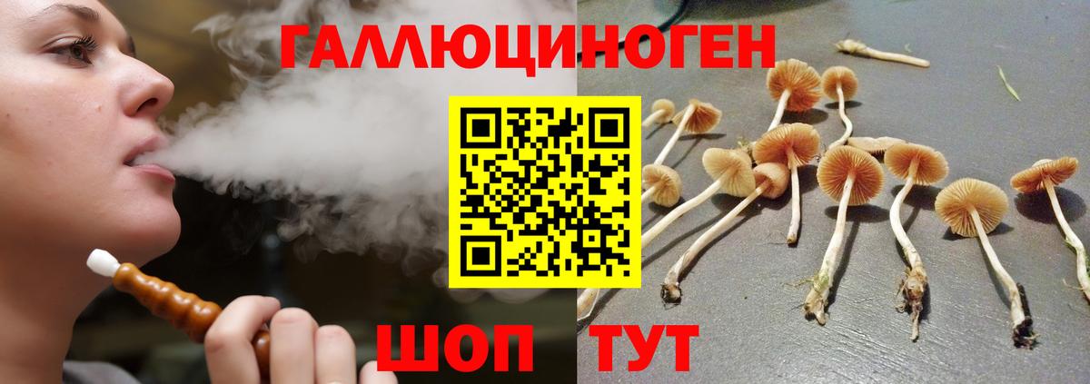 Галлюциногенные грибы GOLDEN TEACHER Всеволожск